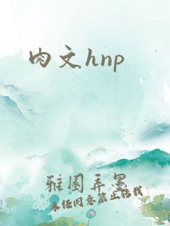 肉文hnp