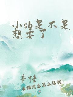 小sb是不是又想要了