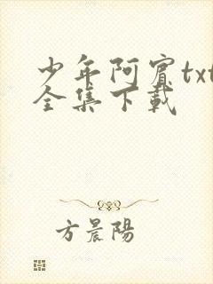 少年阿宾txt全集下载