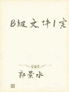 B级文件1完整