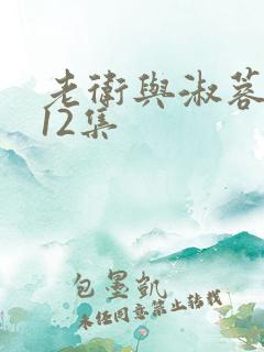 老卫与淑蓉1一12集