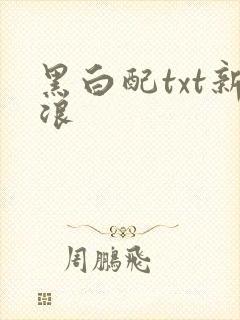 黑白配txt新浪