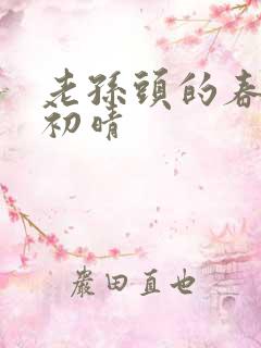 老孙头的春天林初晴