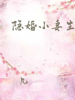 隐婚小妻生个娃