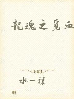 龙魂之觅血心缘