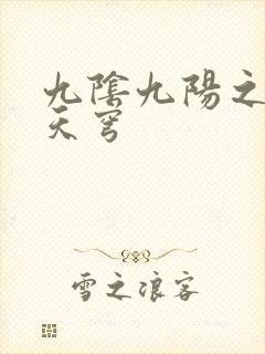 九阴九阳之武战天穹