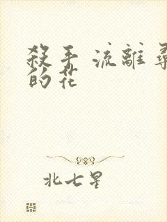 杀手 流离寻岸的花