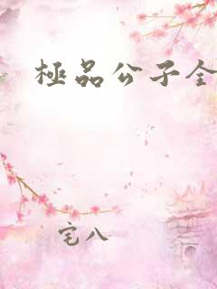 极品公子全集