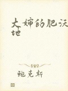 大婶的肥沃的土地