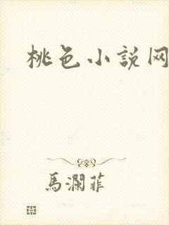 桃色小说网