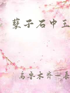 孽子石中玉