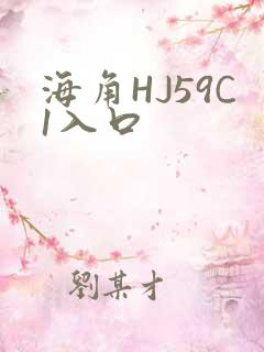 海角HJ59C1入口