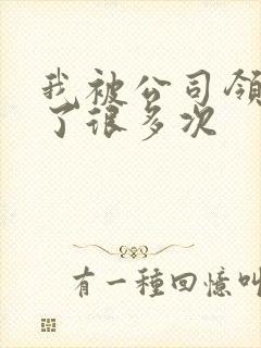 我被公司领导C了很多次