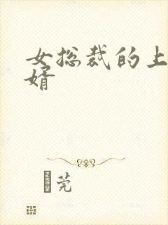 女总裁的上门女婿