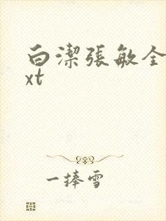 白洁张敏全集txt