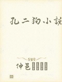 孔二狗小说