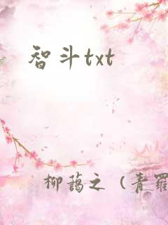 智斗txt