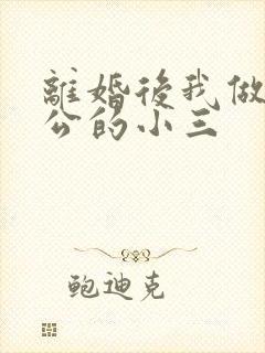 离婚后我做了老公的小三