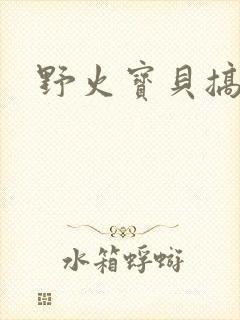 野火宝贝搞定你