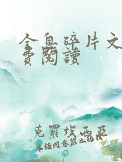 全息碎片文轩免费阅读