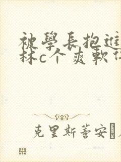 被学长抱进小树林c个爽软件