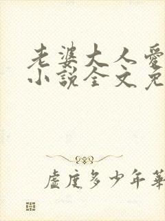 老婆大人爱上我小说全文免费阅读