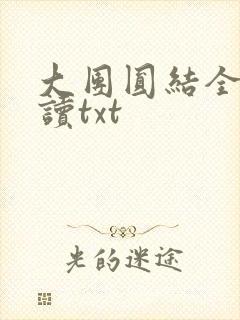 大团圆结全文阅读txt