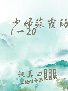 少妇苏霞的沉沦1一20