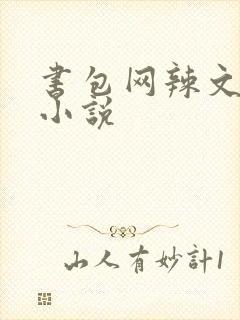 书包网辣文全本小说