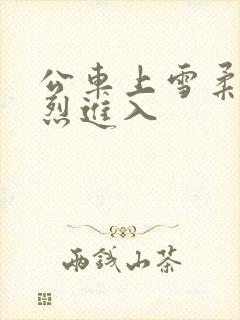 公车上雪柔被猛烈进入