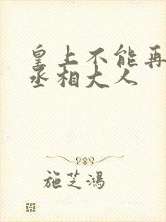 皇上不能再进了丞相大人