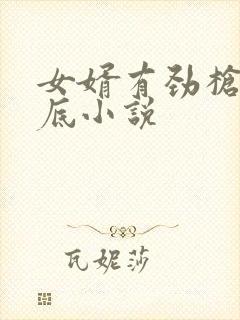 女婿有劲枪枪到底小说