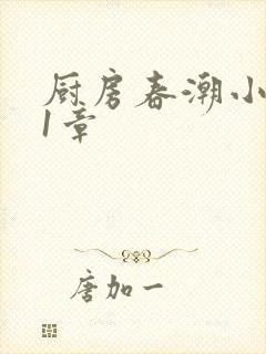 厨房春潮小说第1章