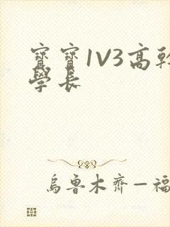 宝宝1V3高干学长