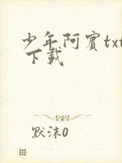 少年阿宾txt 下载