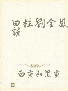 田柱刘金凤的小说