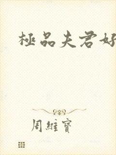 极品夫君好又多