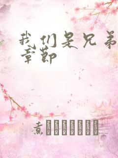 我们是兄弟最新章节