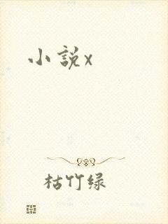 小说x