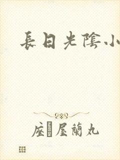 长日光阴小说