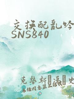 交换配乱吟粗大SNS840
