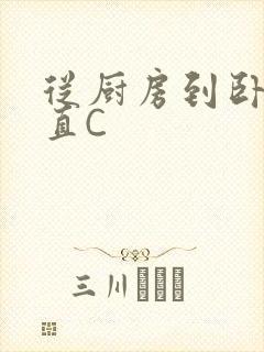 从厨房到卧室一直C