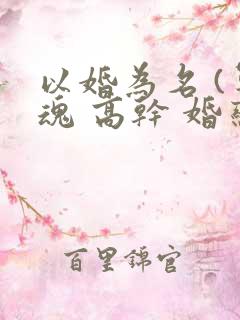 以婚为名 (军魂 高干 婚恋)