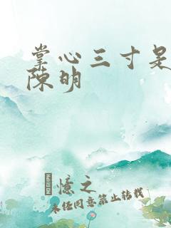 掌心三寸是人间陈明