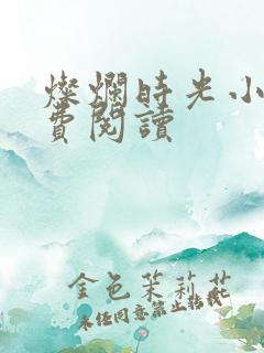 灿烂时光小说免费阅读