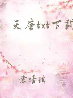 天唐txt下载