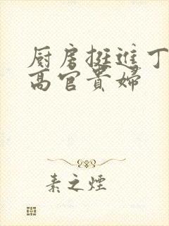 厨房挺进丁字裤高官贵妇