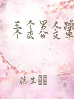 三个男人躁我一个爽公交车上