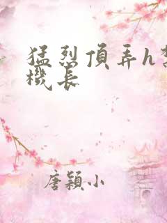 猛烈顶弄h禁欲机长