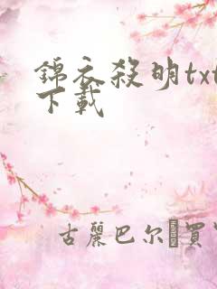 锦衣杀明txt下载